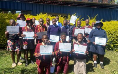 Dzivarasekwa Youths Shine After Completing Employability Skills Training